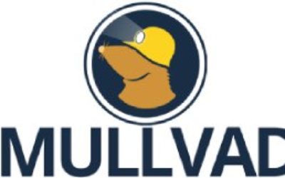 40% Off Mullvad Coupon Codes And Deals
