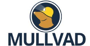 Mullvad Review